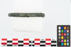 Foto von Bronzearmreif (NHMW-PRAE-026621)